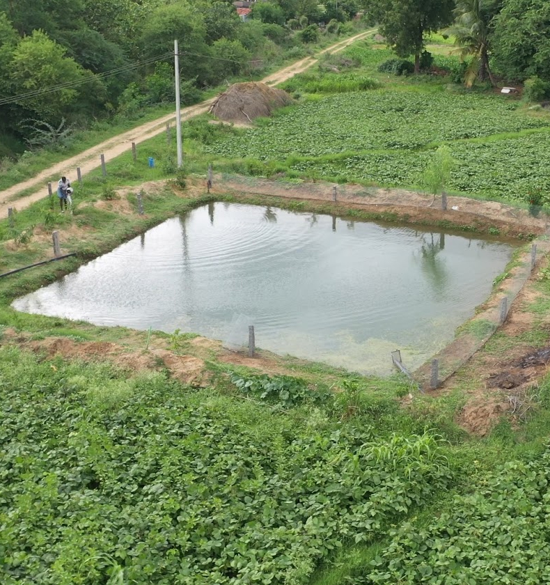 Farm Pond Construction