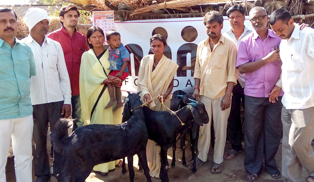 Animal Husbandry