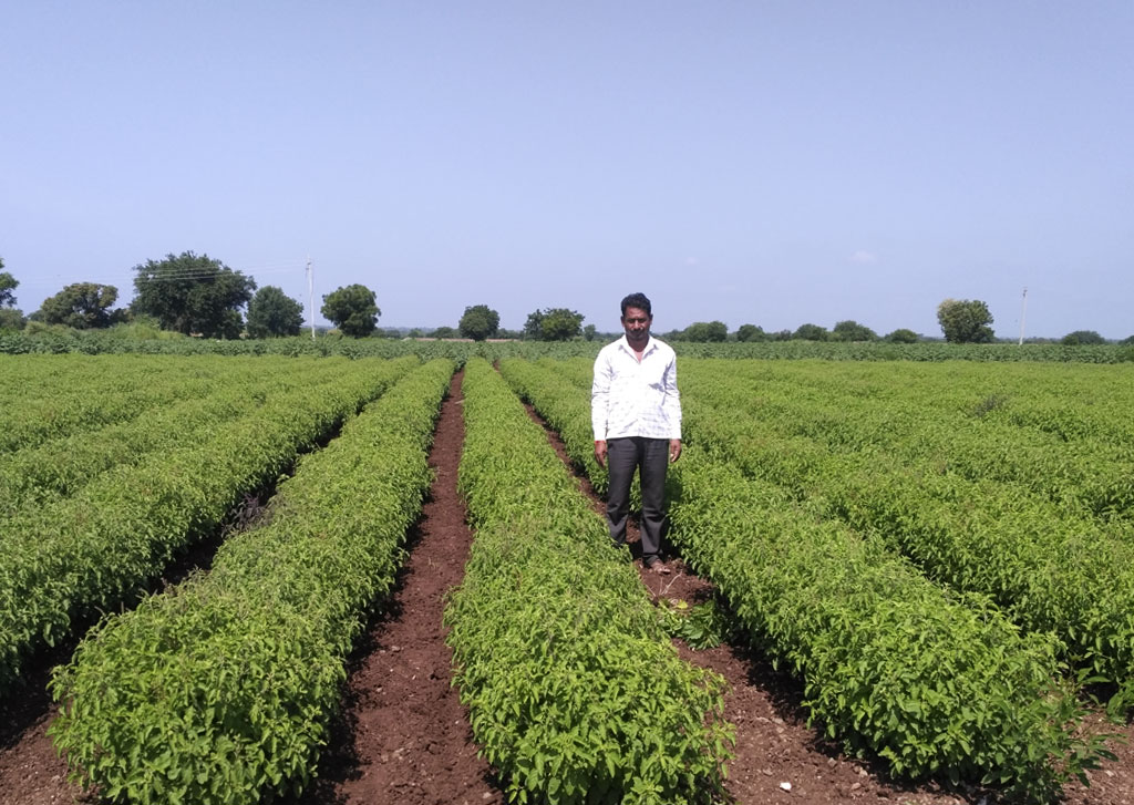 District Aurangabad Village Kutubkheda