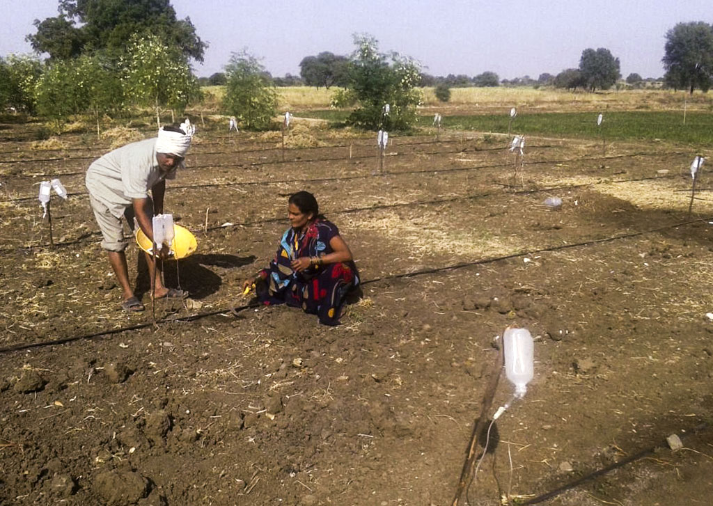 Drip Irrigation