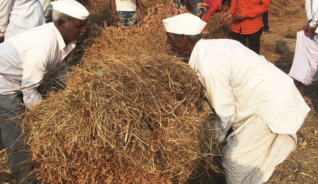 Fodder Distribution