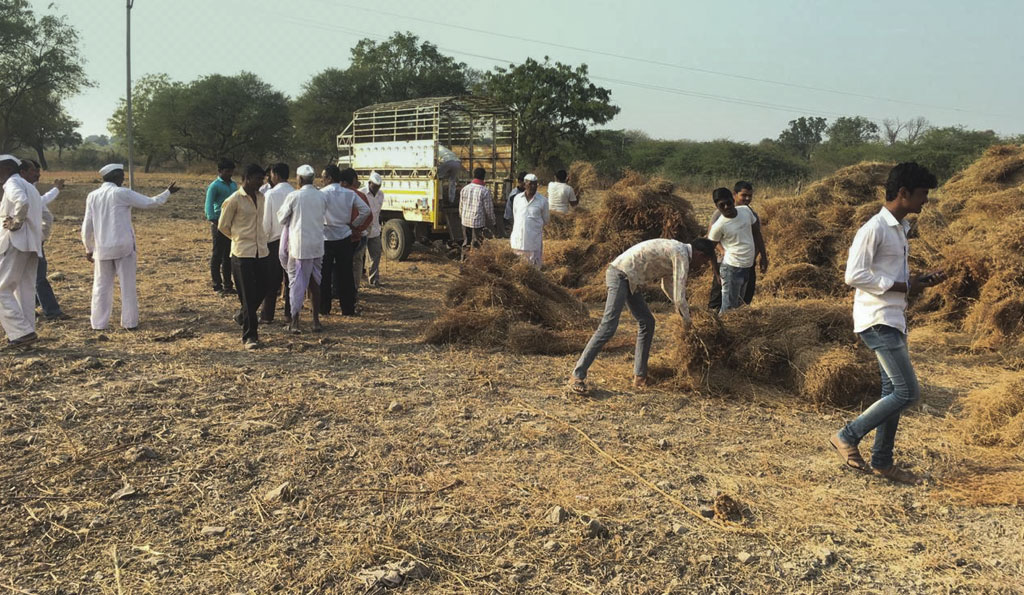 Fodder Distribution