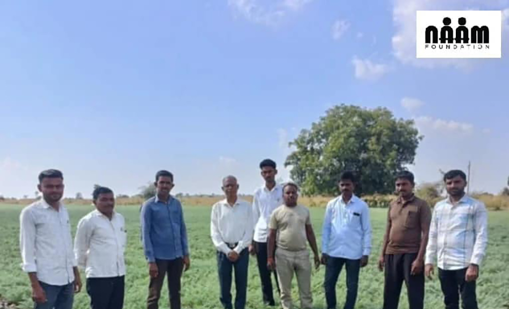 Seed Bank Project