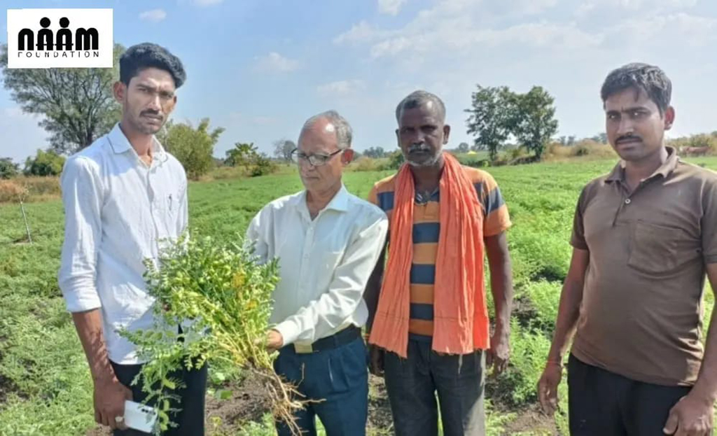 Seed Bank Project
