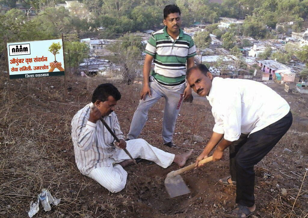 Tree Plantation District Yavatmal