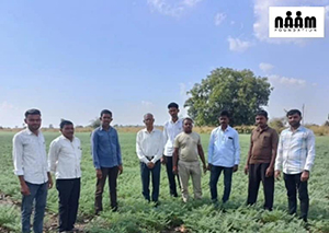 PROJECT - NAAM SEED BANK