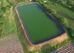 PROJECT - FARM POND CONSTRUCTION