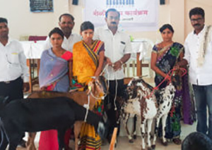 PROJECT - ANIMAL HUSBANDRY
